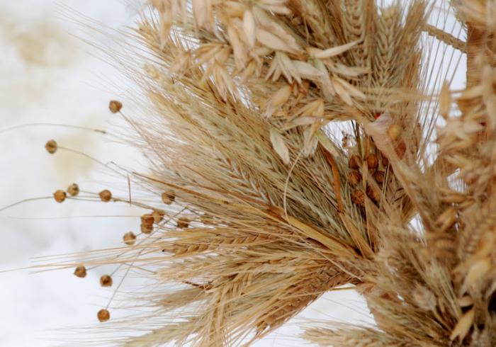 сноп сена