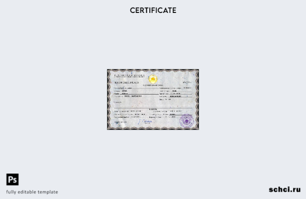 скачать цифровую загрузку PSD шаблона свидетельства о рождении в Бангладеш