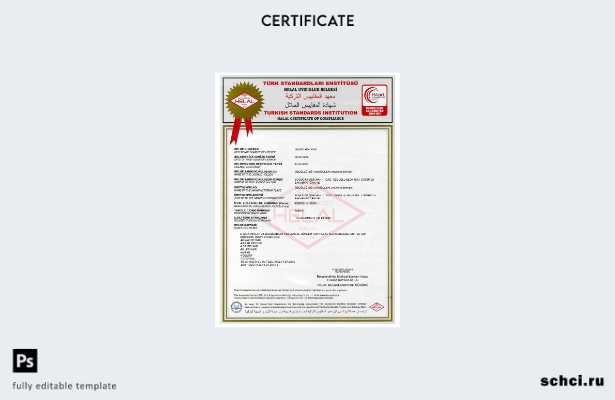 цифровая загрузка шаблона сертификата Турецкого института стандартов