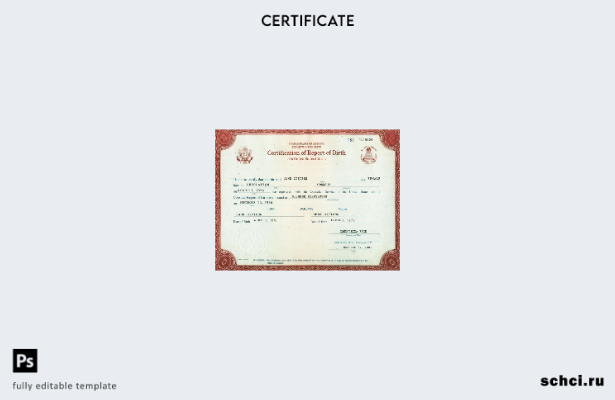 цифровая загрузка шаблона сертификата отчета о рождении в США в Вашингтоне