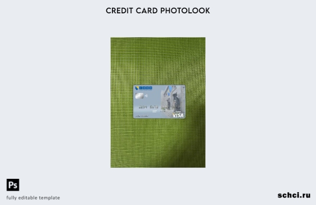цифровая загрузка Босния и Герцеговина, карта Visa, фотоизображение, передний ша