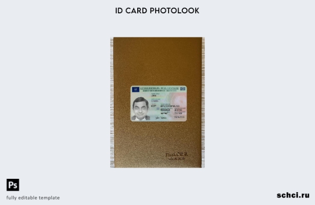 цифровая загрузка Литвы ID карта подарок фотообраз переднего шаблона