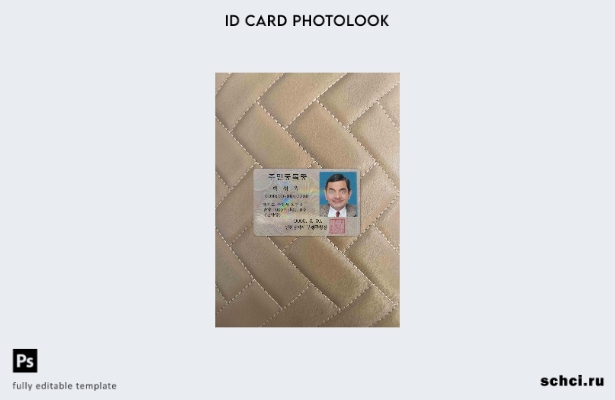 цифровая загрузка шаблона ID Photolook для Кореи FRONT